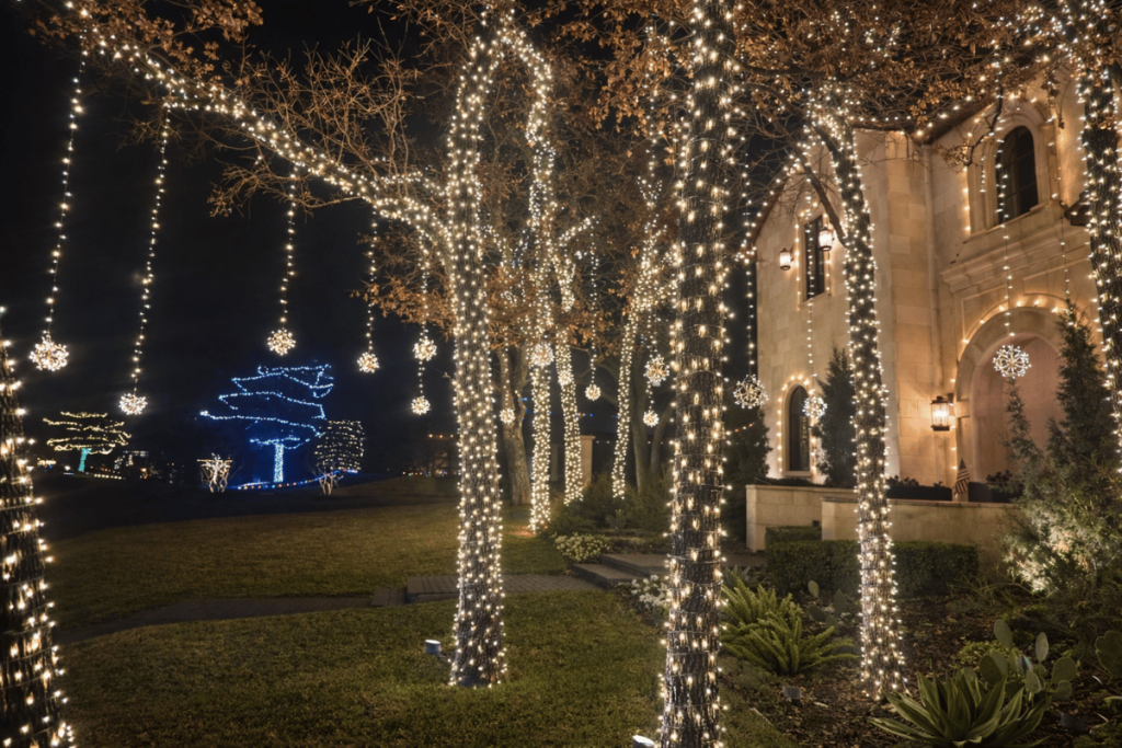 Christmas lights the colony